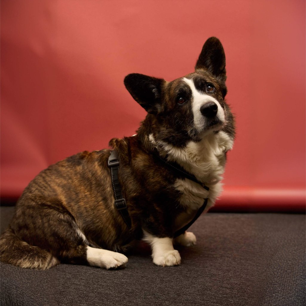 appart-team-joep-2.jpg